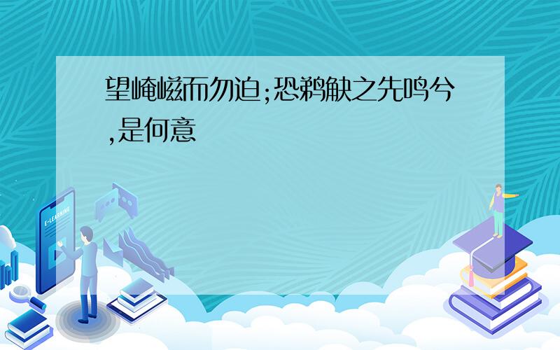 望崦嵫而勿迫;恐鹈觖之先鸣兮,是何意