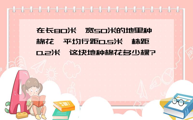 在长80米,宽50米的地里种棉花,平均行距0.5米,株距0.2米,这块地种棉花多少棵?