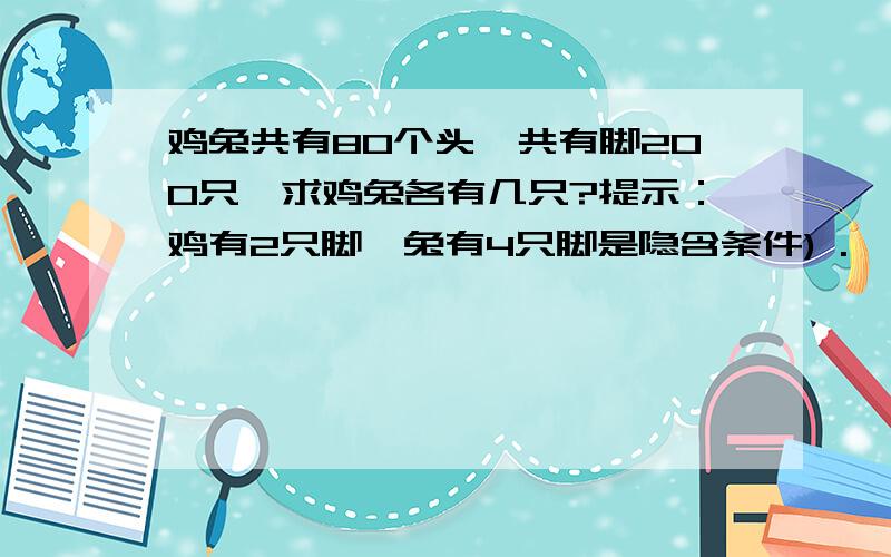 鸡兔共有80个头,共有脚200只,求鸡兔各有几只?提示：鸡有2只脚,兔有4只脚是隐含条件) .