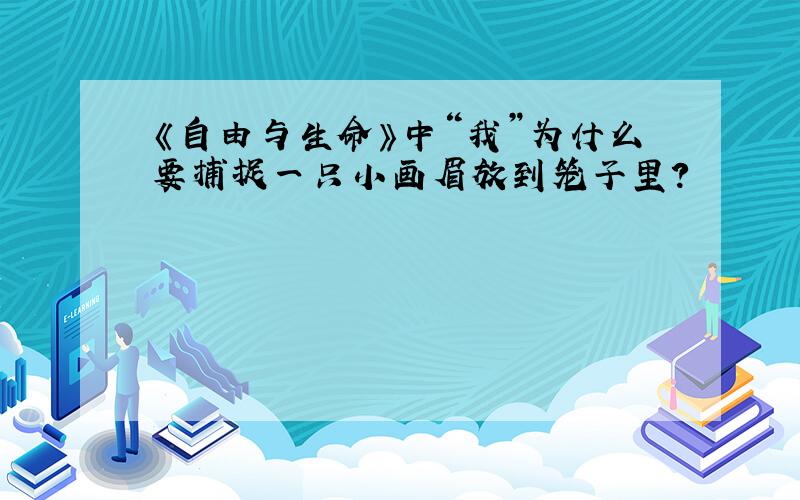 《自由与生命》中“我”为什么要捕捉一只小画眉放到笼子里?