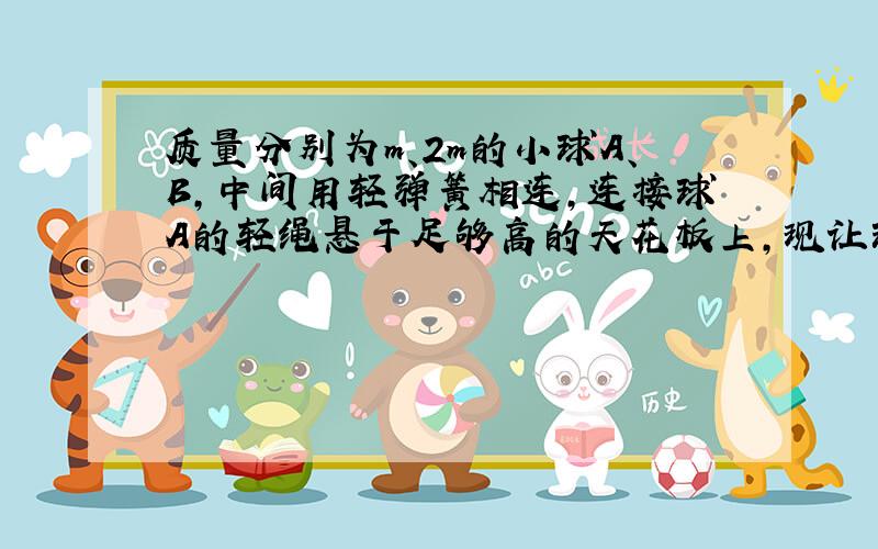 质量分别为m、2m的小球A、B,中间用轻弹簧相连,连接球A的轻绳悬于足够高的天花板上,现让球B自弹簧自然长