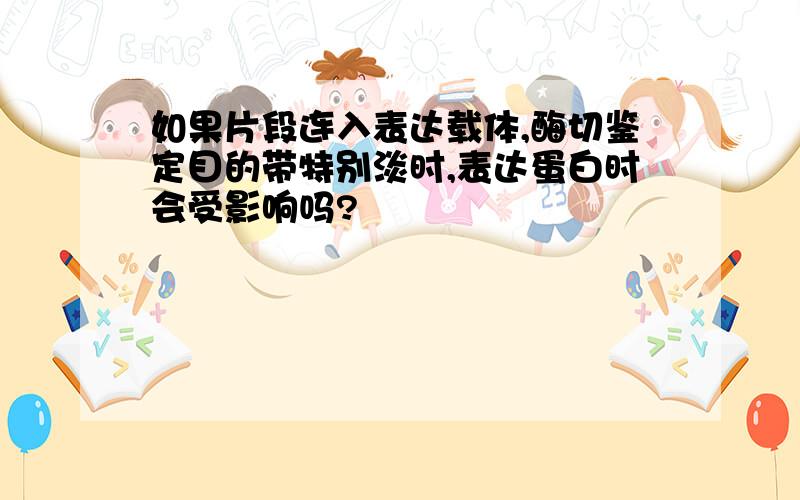 如果片段连入表达载体,酶切鉴定目的带特别淡时,表达蛋白时会受影响吗?