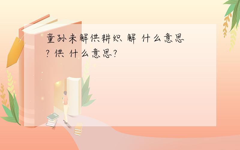 童孙未解供耕织 解 什么意思? 供 什么意思?