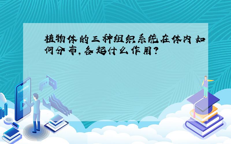 植物体的三种组织系统在体内如何分布,各起什么作用?