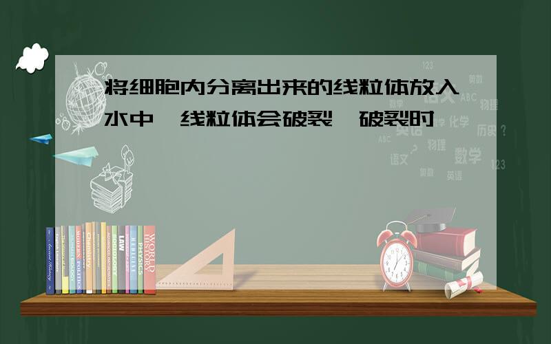 将细胞内分离出来的线粒体放入水中,线粒体会破裂,破裂时