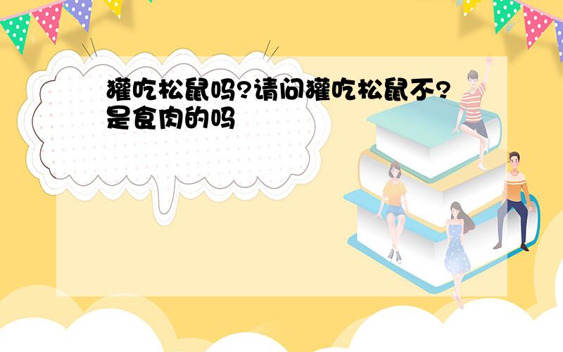 獾吃松鼠吗?请问獾吃松鼠不?是食肉的吗