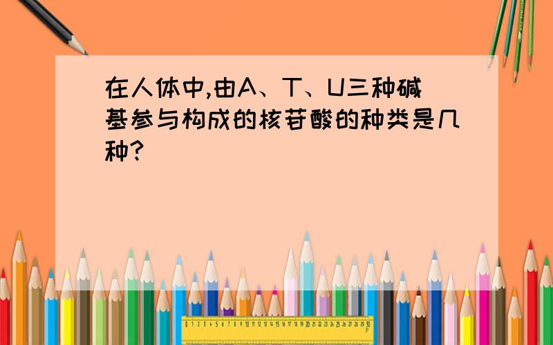 在人体中,由A、T、U三种碱基参与构成的核苷酸的种类是几种?