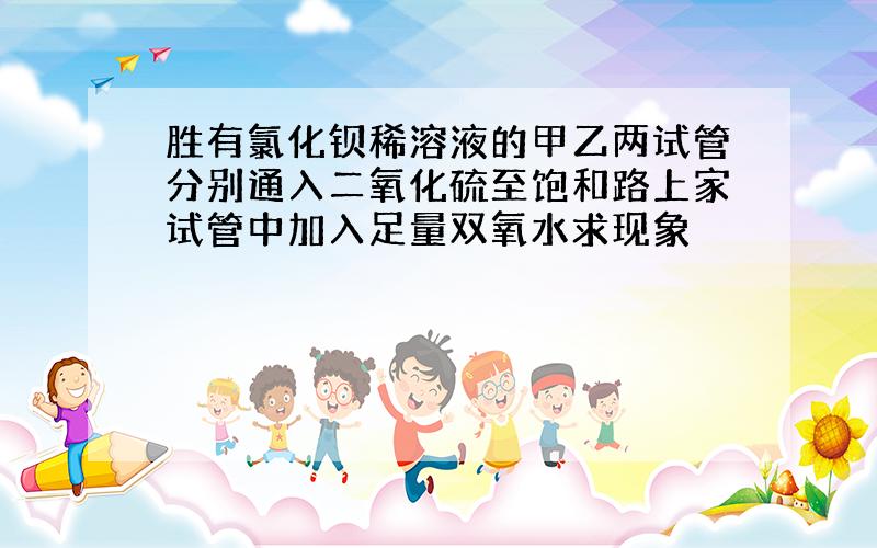 胜有氯化钡稀溶液的甲乙两试管分别通入二氧化硫至饱和路上家试管中加入足量双氧水求现象