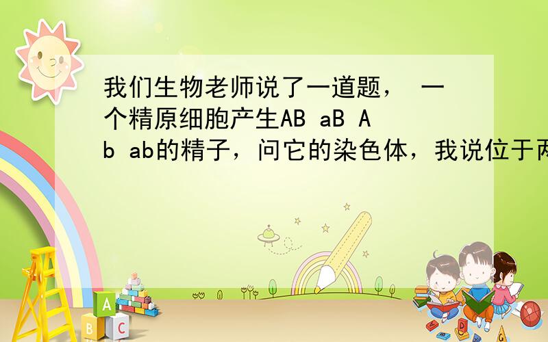 我们生物老师说了一道题， 一个精原细胞产生AB aB Ab ab的精子，问它的染色体，我说位于两条非同源染色体上，若A与