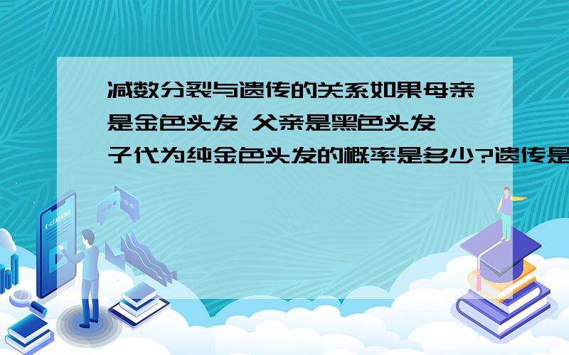 减数分裂与遗传的关系如果母亲是金色头发 父亲是黑色头发 子代为纯金色头发的概率是多少?遗传是怎样和生殖细胞的减数分裂相联