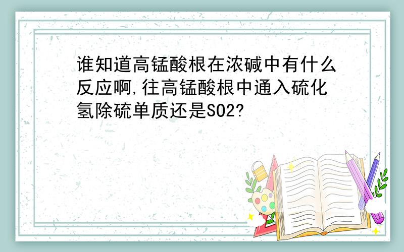 谁知道高锰酸根在浓碱中有什么反应啊,往高锰酸根中通入硫化氢除硫单质还是SO2?