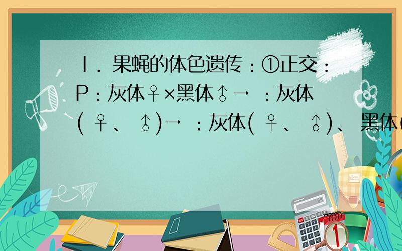 Ⅰ．果蝇的体色遗传：①正交：P：灰体♀×黑体♂→ ：灰体( ♀、 ♂)→ ：灰体( ♀、 ♂)、 黑体( ♀、 ♂)②反