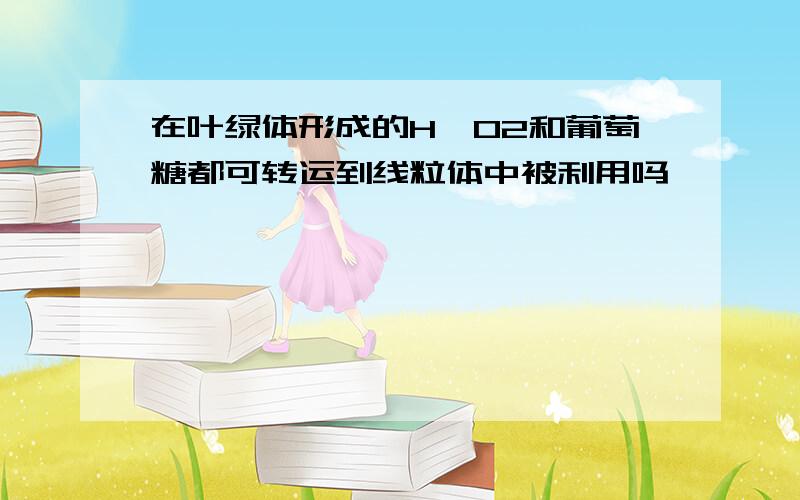 在叶绿体形成的H、O2和葡萄糖都可转运到线粒体中被利用吗