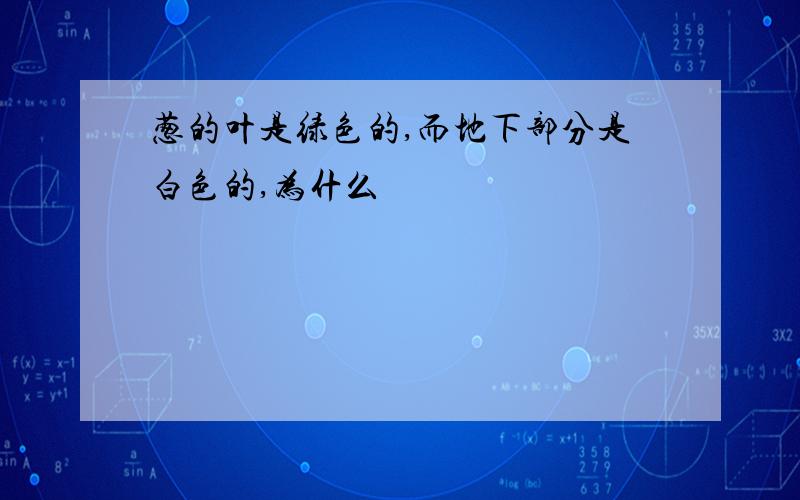 葱的叶是绿色的,而地下部分是白色的,为什么