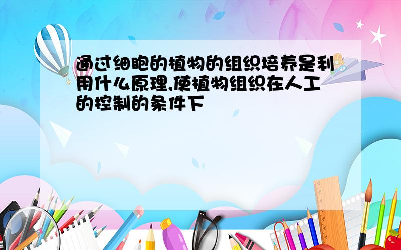 通过细胞的植物的组织培养是利用什么原理,使植物组织在人工的控制的条件下