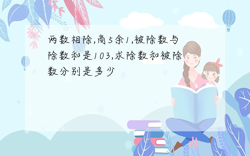 两数相除,商5余1,被除数与除数和是103,求除数和被除数分别是多少