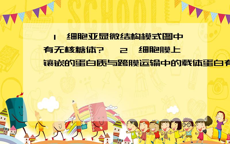 〔1〕细胞亚显微结构模式图中有无核糖体? 〔2〕细胞膜上镶嵌的蛋白质与跨膜运输中的载体蛋白有什么区别