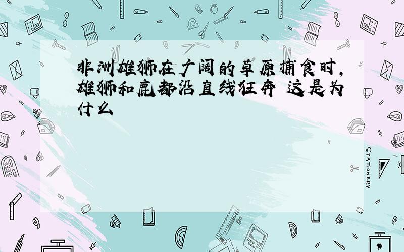 非洲雄狮在广阔的草原捕食时,雄狮和鹿都沿直线狂奔 这是为什么