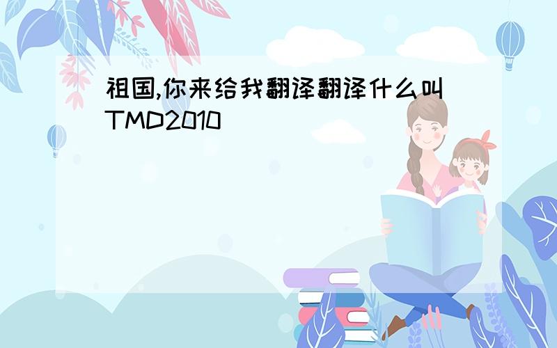 祖国,你来给我翻译翻译什么叫TMD2010