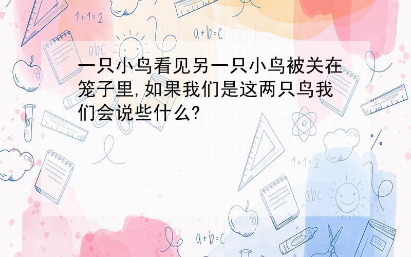 一只小鸟看见另一只小鸟被关在笼子里,如果我们是这两只鸟我们会说些什么?