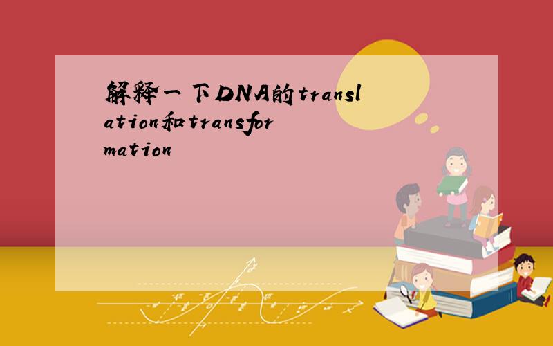 解释一下DNA的translation和transformation