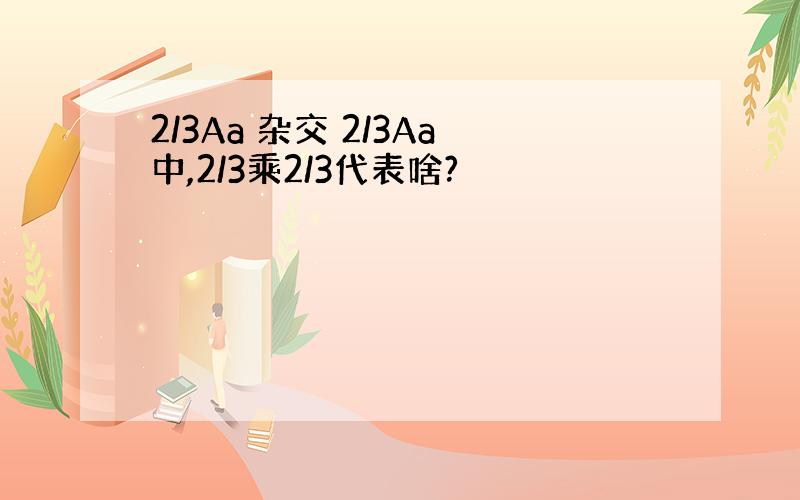 2/3Aa 杂交 2/3Aa中,2/3乘2/3代表啥?