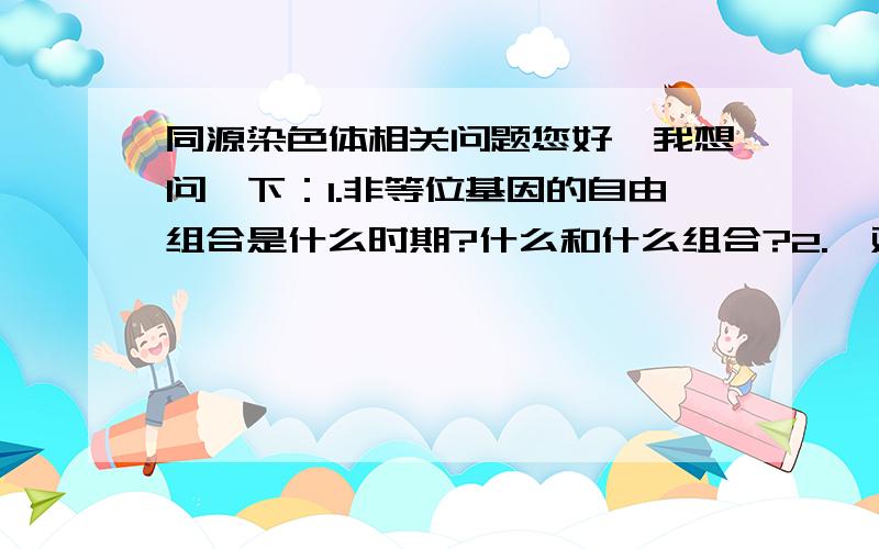 同源染色体相关问题您好,我想问一下：1.非等位基因的自由组合是什么时期?什么和什么组合?2.一对同源染色体,其中的一条上