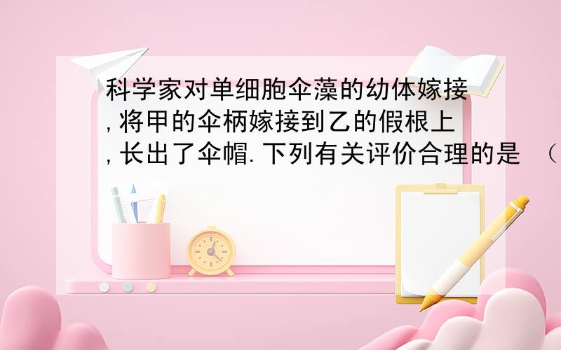 科学家对单细胞伞藻的幼体嫁接,将甲的伞柄嫁接到乙的假根上,长出了伞帽.下列有关评价合理的是 （ c）