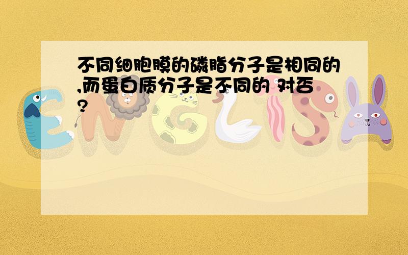 不同细胞膜的磷脂分子是相同的,而蛋白质分子是不同的 对否?