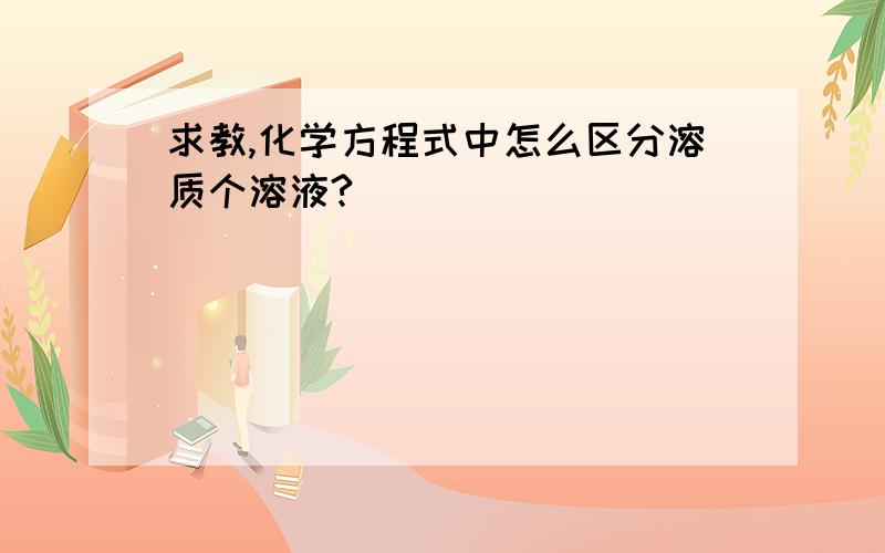 求教,化学方程式中怎么区分溶质个溶液?