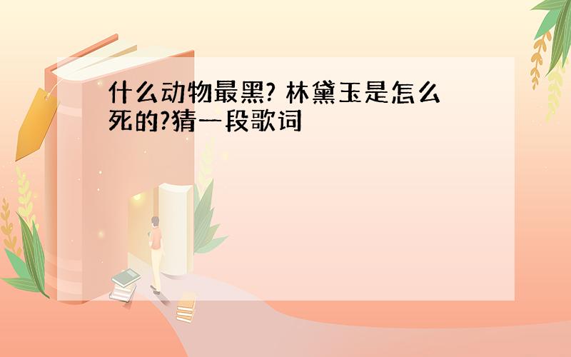 什么动物最黑? 林黛玉是怎么死的?猜一段歌词