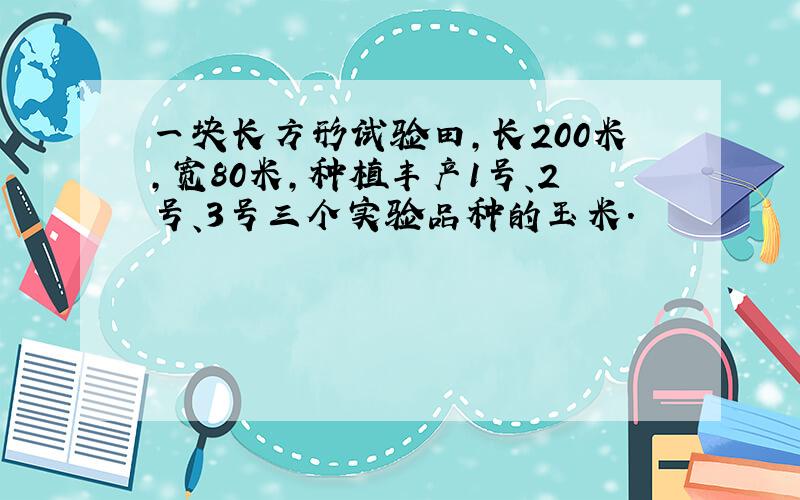 一块长方形试验田,长200米,宽80米,种植丰产1号、2号、3号三个实验品种的玉米.