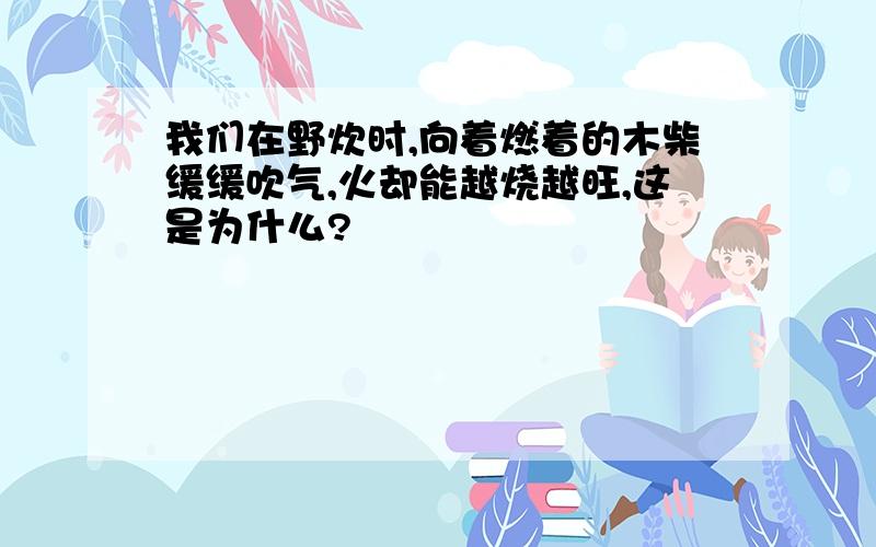 我们在野炊时,向着燃着的木柴缓缓吹气,火却能越烧越旺,这是为什么?