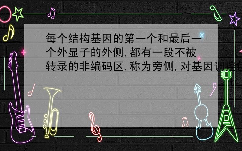 每个结构基因的第一个和最后一个外显子的外侧,都有一段不被转录的非编码区,称为旁侧,对基因调控包括什