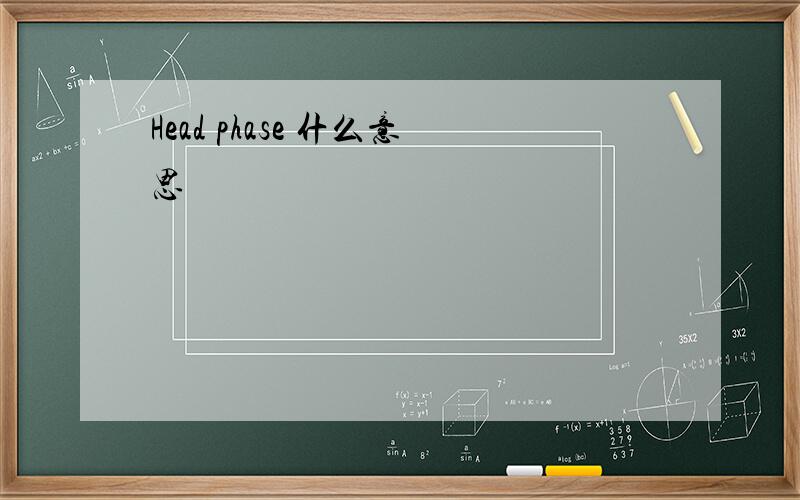 Head phase 什么意思