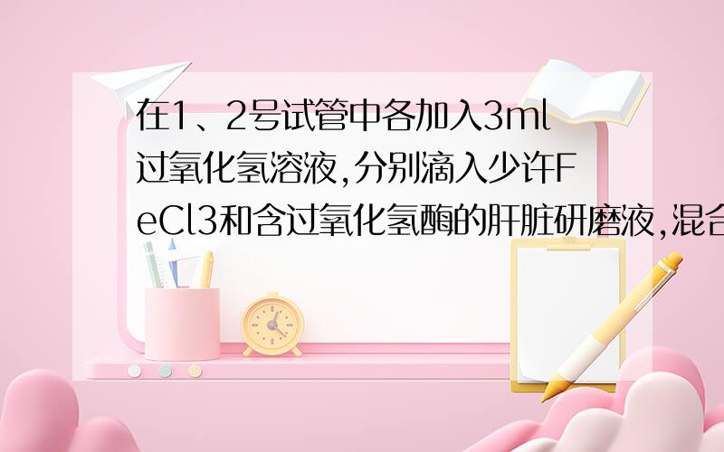 在1、2号试管中各加入3ml过氧化氢溶液,分别滴入少许FeCl3和含过氧化氢酶的肝脏研磨液,混合均匀后,