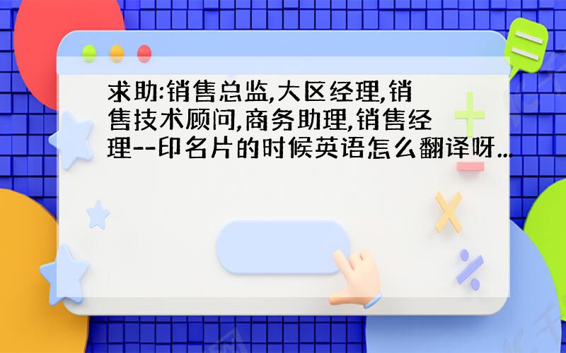 求助:销售总监,大区经理,销售技术顾问,商务助理,销售经理--印名片的时候英语怎么翻译呀...