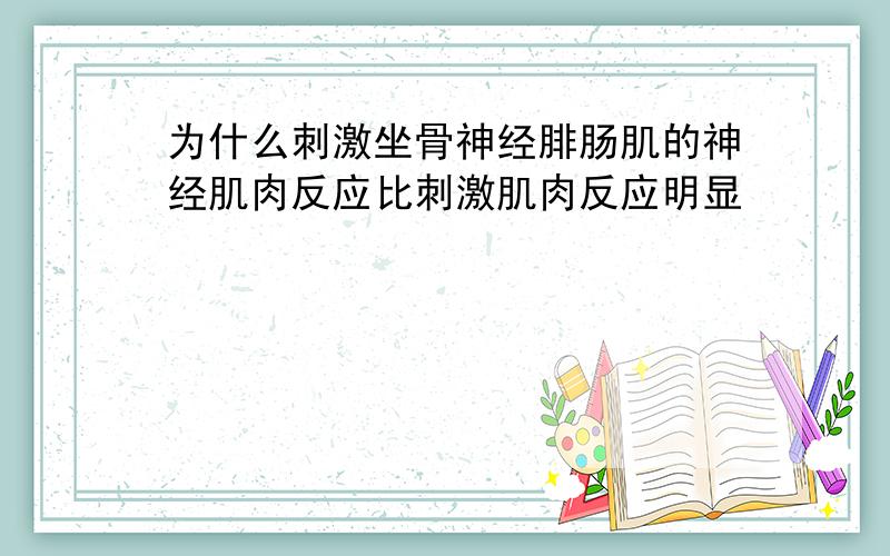 为什么刺激坐骨神经腓肠肌的神经肌肉反应比刺激肌肉反应明显