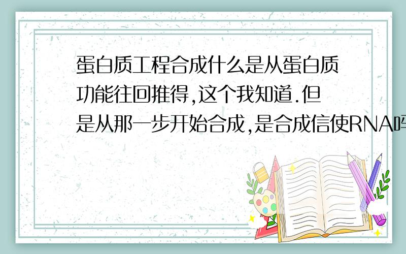 蛋白质工程合成什么是从蛋白质功能往回推得,这个我知道.但是从那一步开始合成,是合成信使RNA吗,那还推测DNA干嘛.