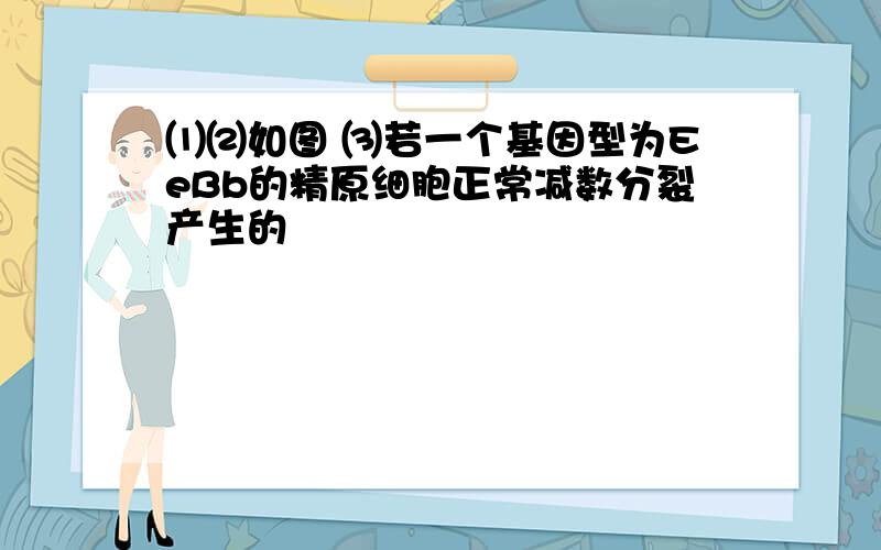 ⑴⑵如图 ⑶若一个基因型为EeBb的精原细胞正常减数分裂产生的