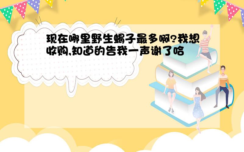 现在哪里野生蝎子最多啊?我想收购,知道的告我一声谢了哈