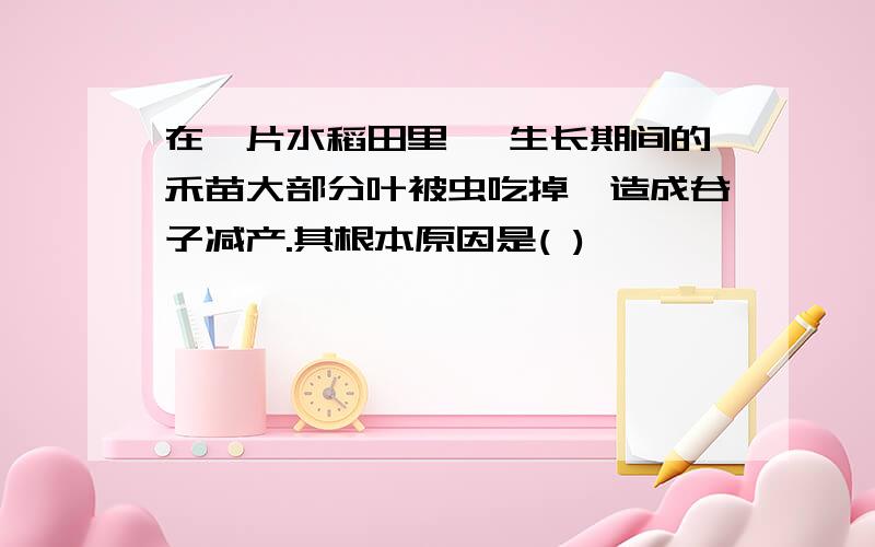 在一片水稻田里 ,生长期间的禾苗大部分叶被虫吃掉,造成谷子减产.其根本原因是( )