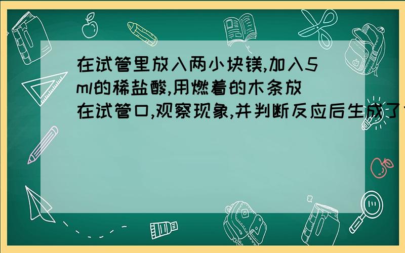 在试管里放入两小块镁,加入5ml的稀盐酸,用燃着的木条放在试管口,观察现象,并判断反应后生成了什么气体