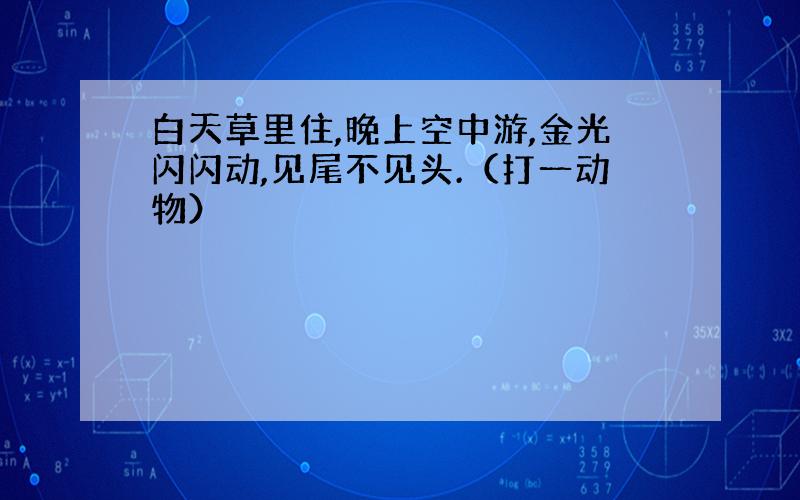 白天草里住,晚上空中游,金光闪闪动,见尾不见头.（打一动物）