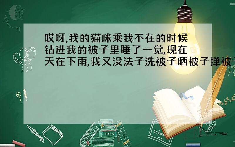 哎呀,我的猫咪乘我不在的时候钻进我的被子里睡了一觉,现在天在下雨,我又没法子洗被子晒被子掸被子.