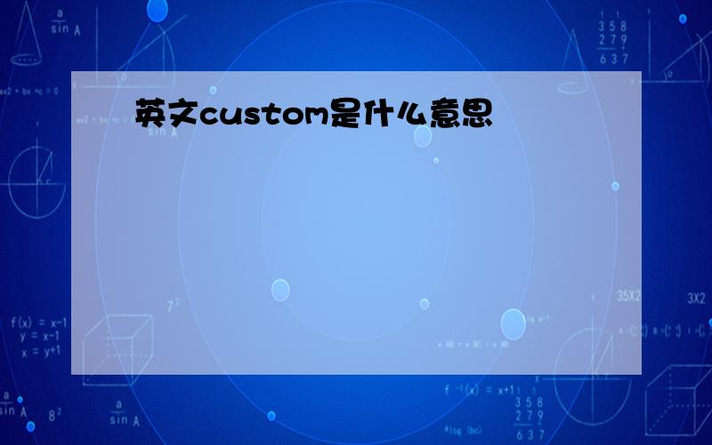 英文custom是什么意思