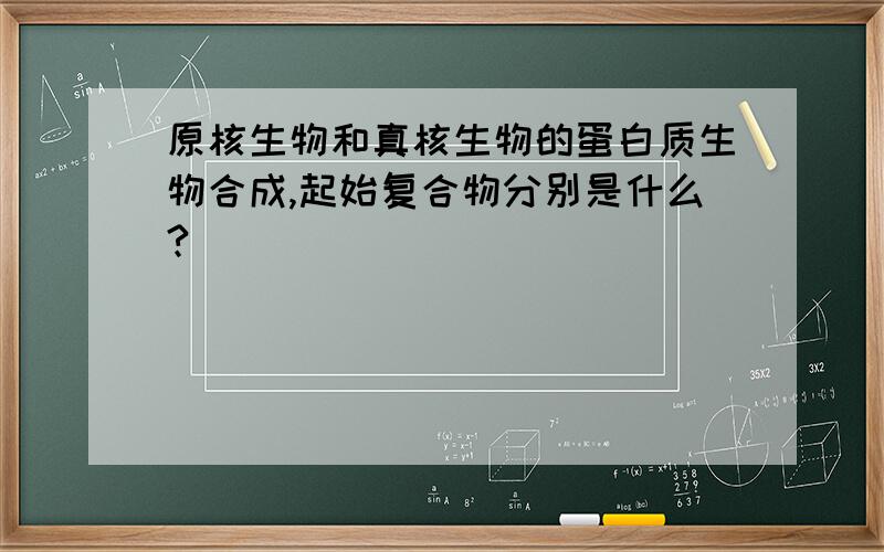 原核生物和真核生物的蛋白质生物合成,起始复合物分别是什么?