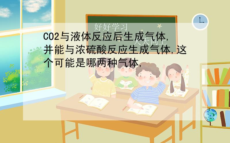 CO2与液体反应后生成气体,并能与浓硫酸反应生成气体,这个可能是哪两种气体,