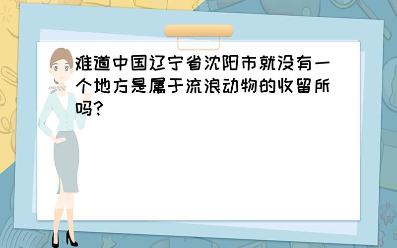 难道中国辽宁省沈阳市就没有一个地方是属于流浪动物的收留所吗?