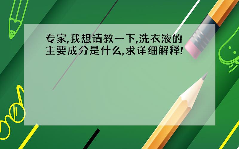 专家,我想请教一下,洗衣液的主要成分是什么,求详细解释!